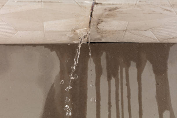 Professional Burst Pipe Cleanup technician working in Junction City, CA